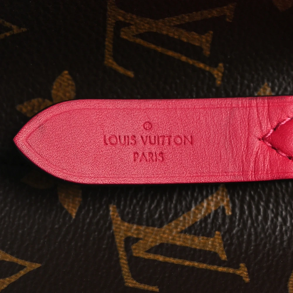 Replica Louis Vuitton Freesia Handbags - 图片 4
